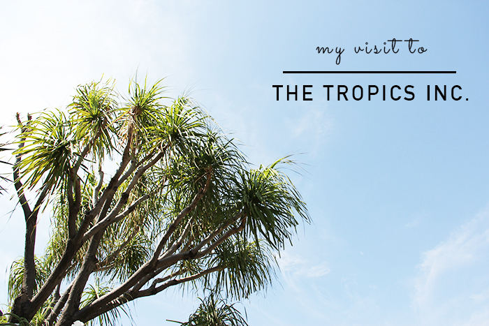 The Tropics My visit to