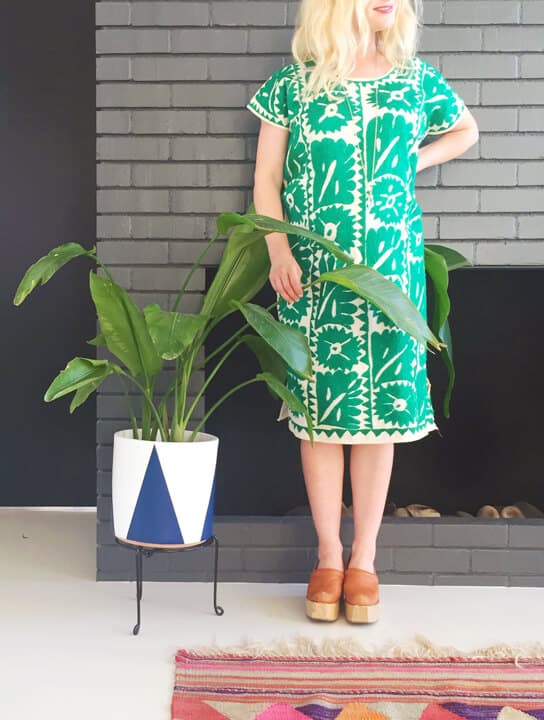 Emily_Henderson_Painted_Planter_Pink_Rug Emily Henderson