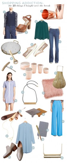 shopping addiction_what I bought over the break_gift_guide_roundup_emily henderson_