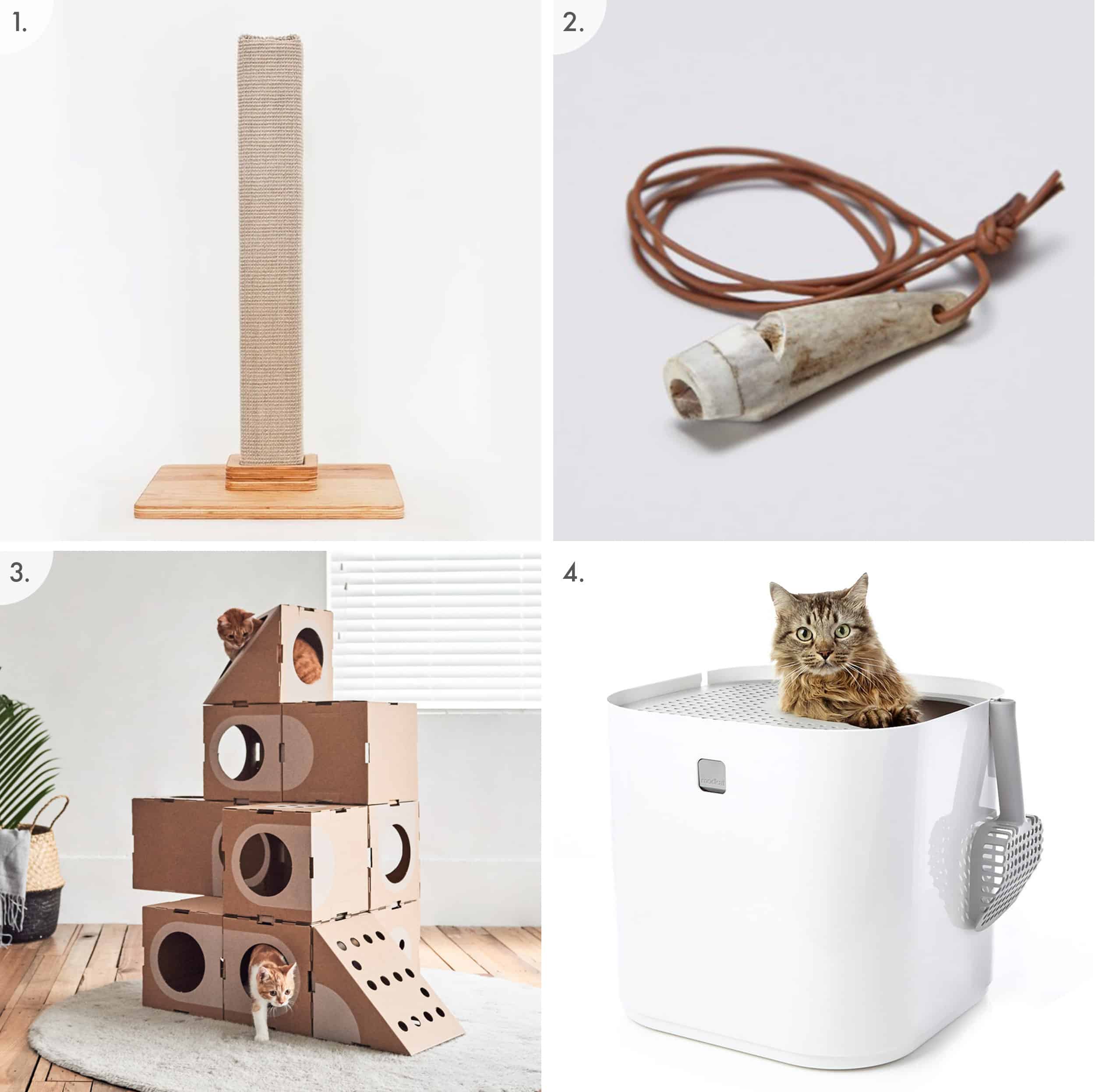 Cute Cat Accessories