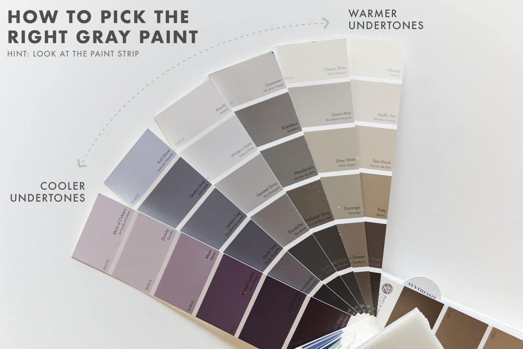 Are We Done With Gray? We Explore + A 
