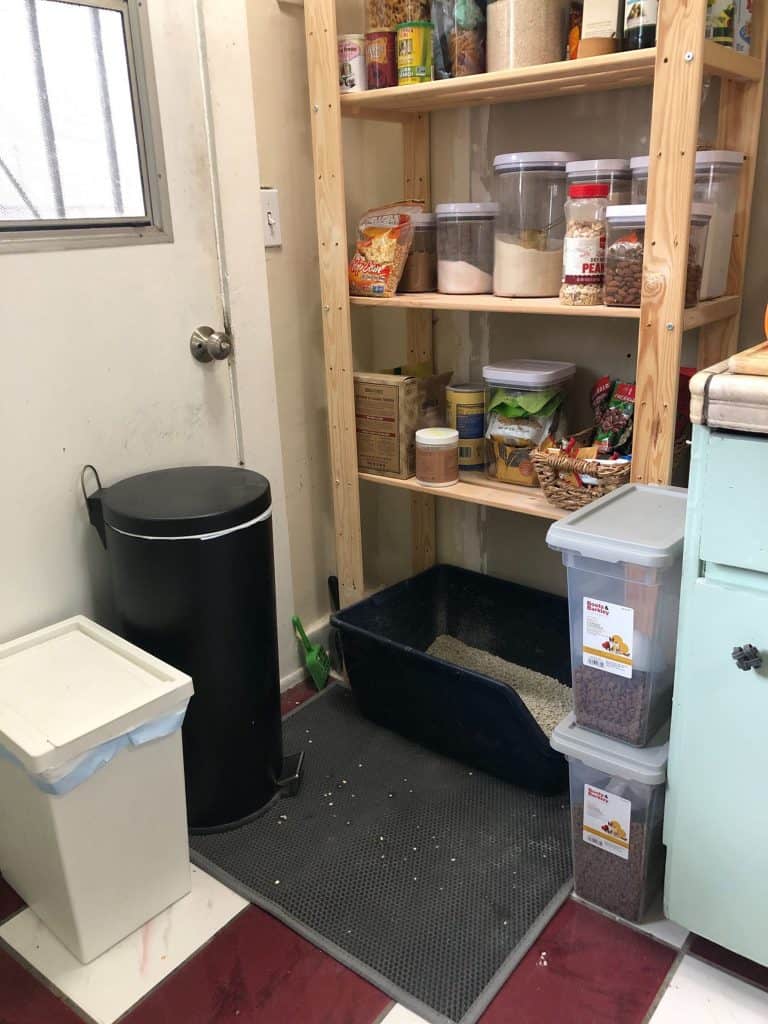 Where Do You Put Your Litter Box?? Emily Henderson