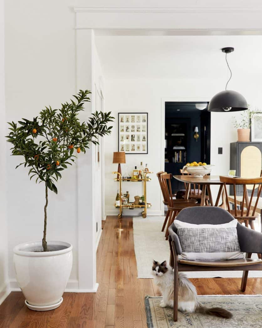 Sara's Living Room & Dining Room Reveal - Emily Henderson