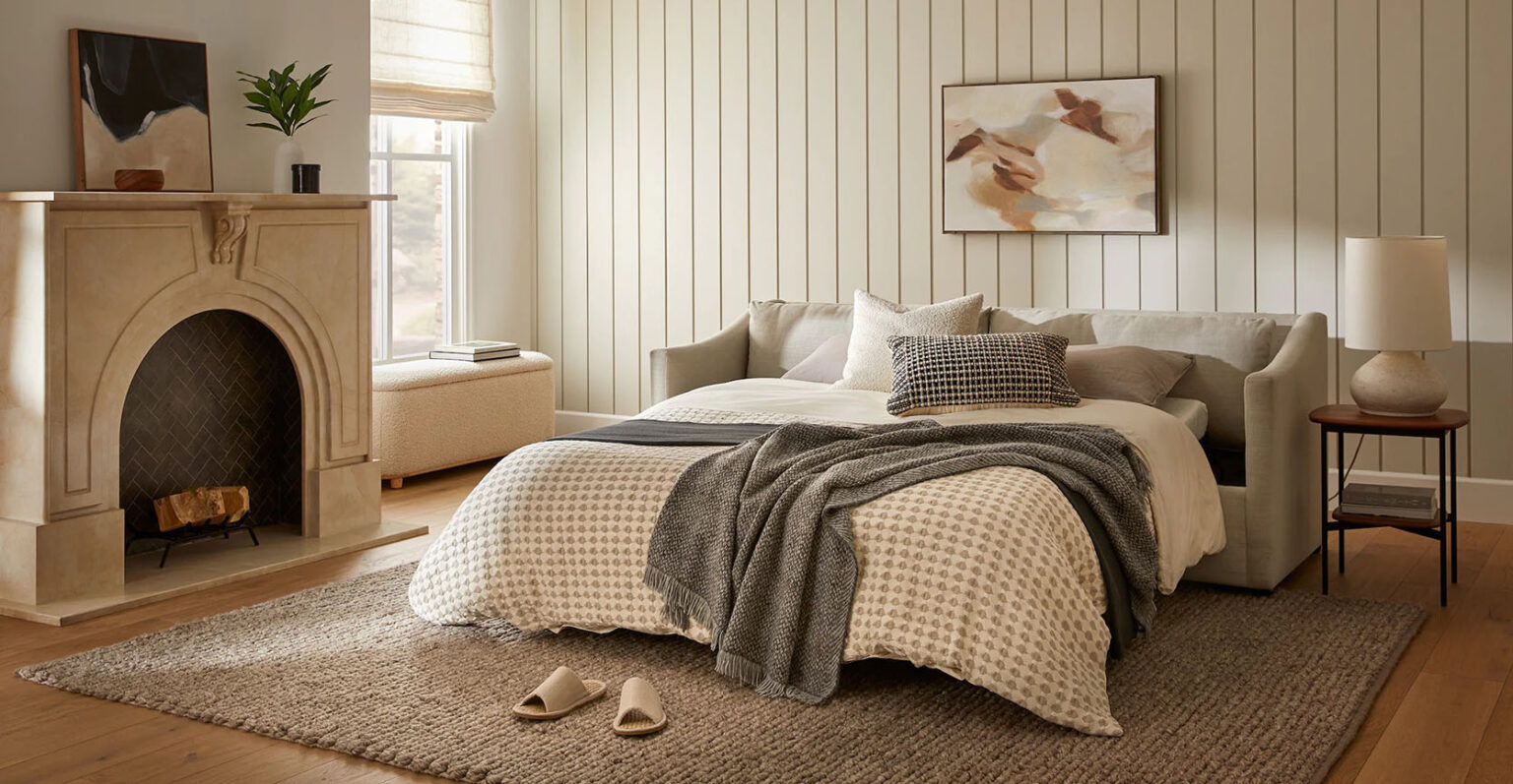 22 DesignForward COMFORTABLE Sleeper Sofa Beds That Make Your Eyes