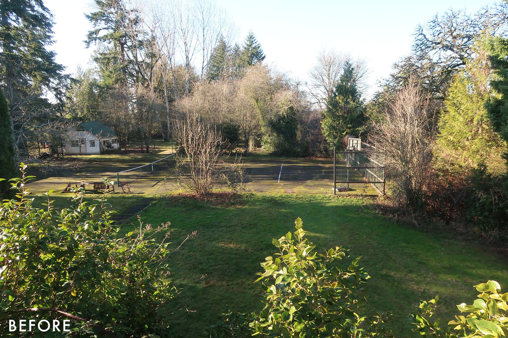 Pickleball Court